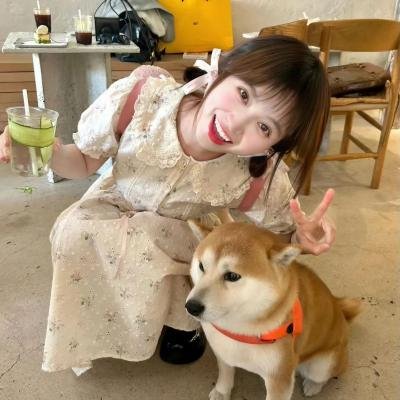 红帐篷